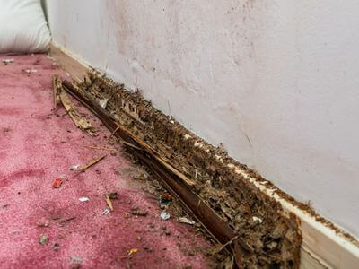 About HydroPeak Co - water damage restoration experts in Camarillo